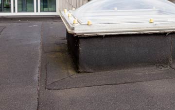 disadvantages of Childs Ercall flat roofs