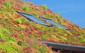 Childs Ercall living roof systems